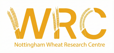 Wheat Research Centre
